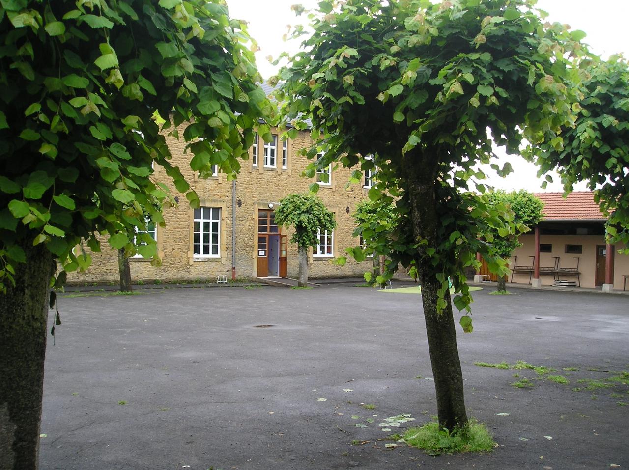 COUR 4